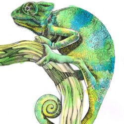 Chameleon Drawing Intricate Artwork
