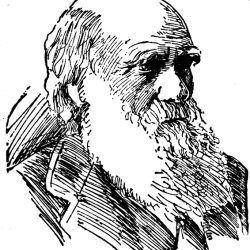 Charles Darwin Drawing Amazing Sketch