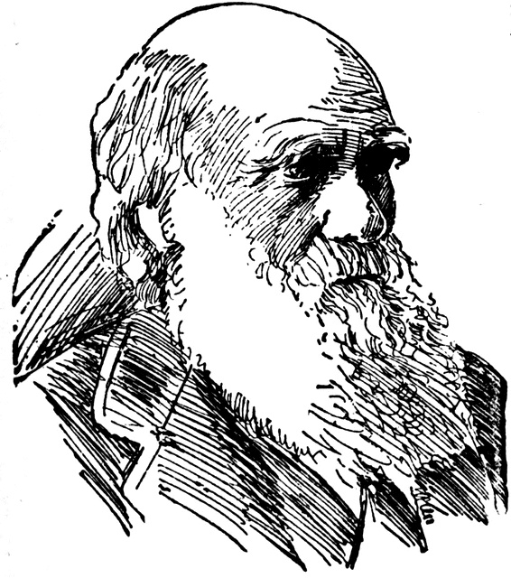 Charles Darwin Drawing Amazing Sketch