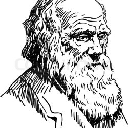 Charles Darwin Drawing Art