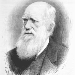 Charles Darwin Drawing Artistic Sketching