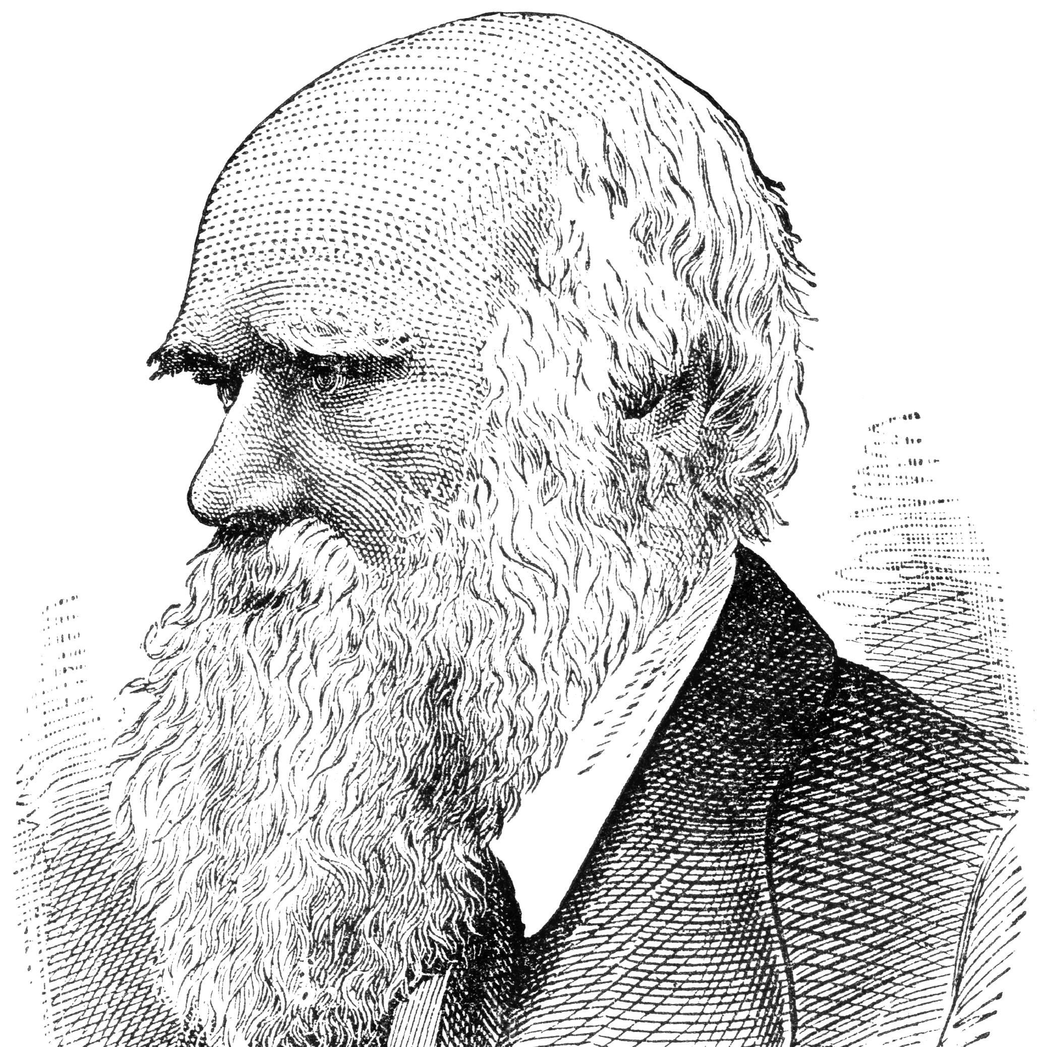 Charles Darwin Drawing Realistic Sketch