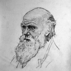 Charles Darwin Drawing Sketch