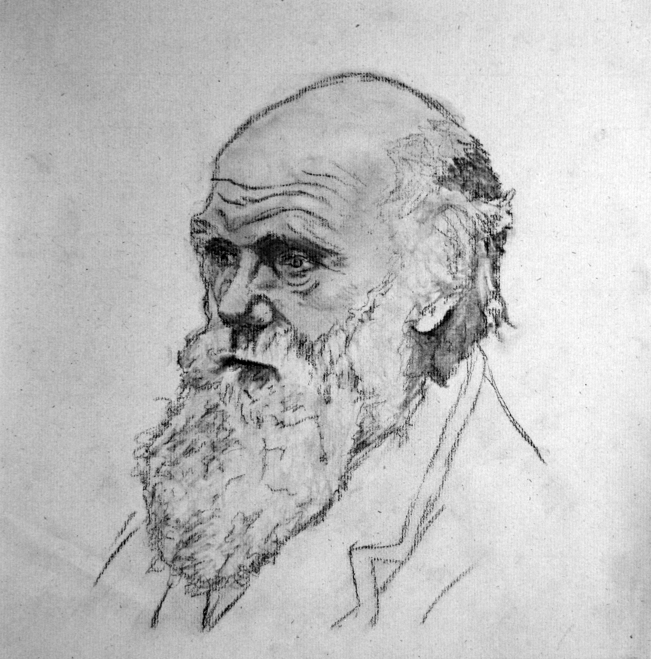 Charles Darwin Drawing Sketch