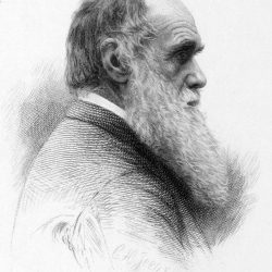 Charles Darwin Drawing Stunning Sketch