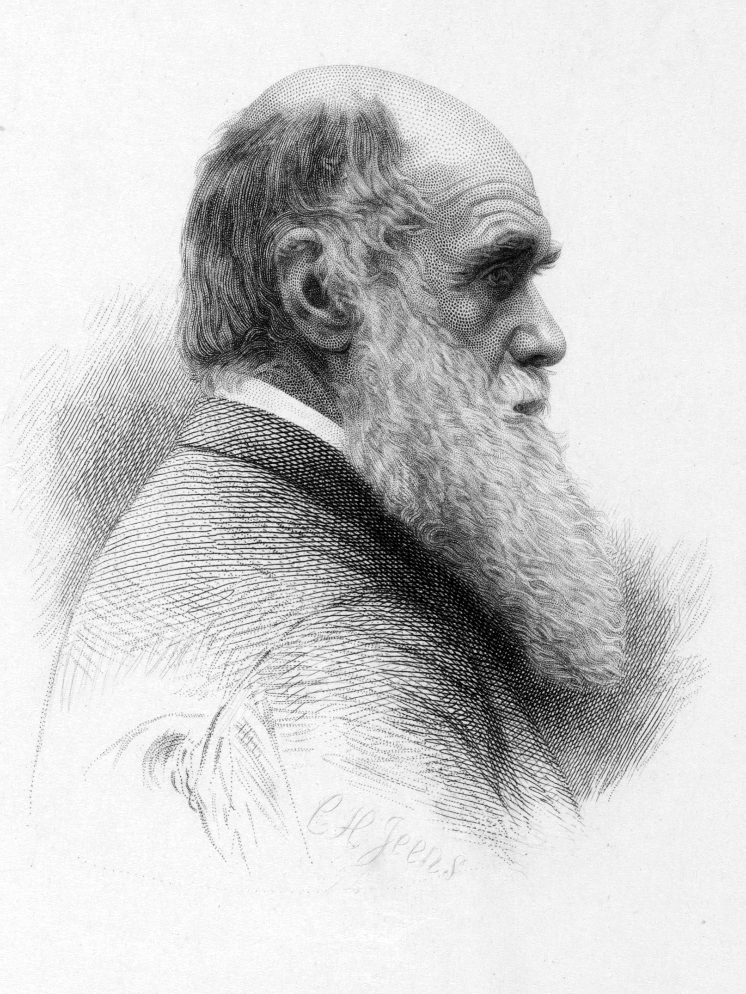 Charles Darwin Drawing Stunning Sketch