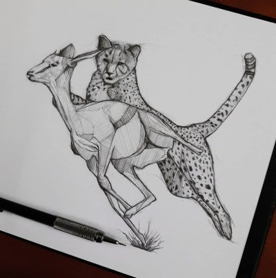 Cheetah Chasing A Deer, Fast Pursuit, Wild Encounter, Wildlife Action, Nature’s Drama Drawing