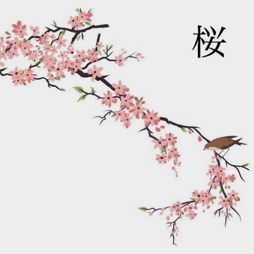 Cherry Blossom Drawing Amazing Sketch