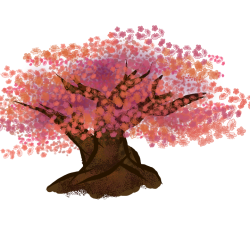 Cherry Blossom Drawing Artistic Sketching