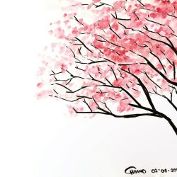 Cherry Blossom Drawing Hand drawn Sketch