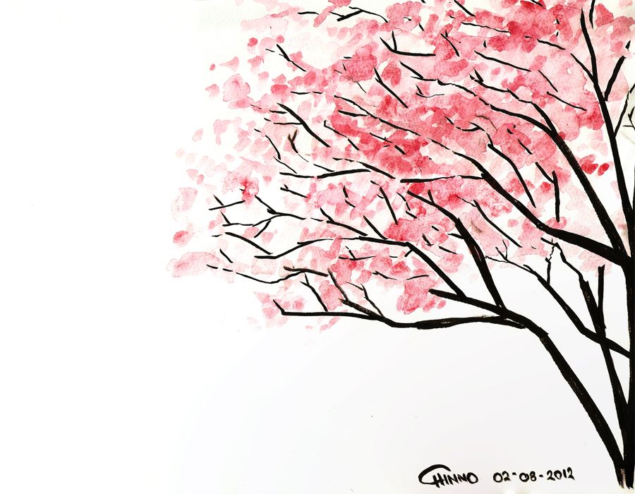 Cherry Blossom Drawing Hand drawn Sketch