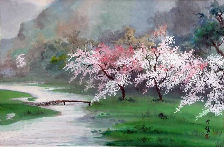 Cherry Blossom Drawing Photo