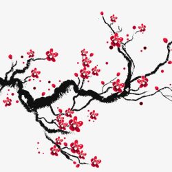 Cherry Blossom Drawing Realistic Sketch