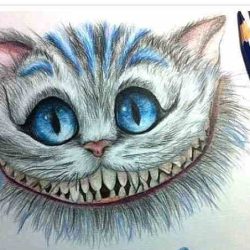 Cheshire Cat Drawing Artistic Sketching