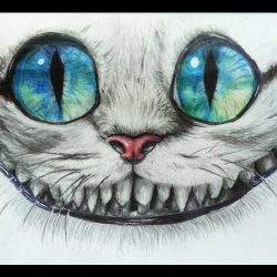 Cheshire Cat Drawing Modern Sketch