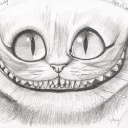 Cheshire Cat Drawing Stunning Sketch