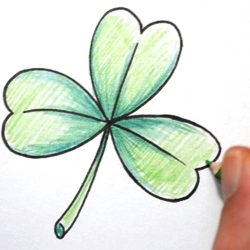 Clover Drawing Intricate Artwork