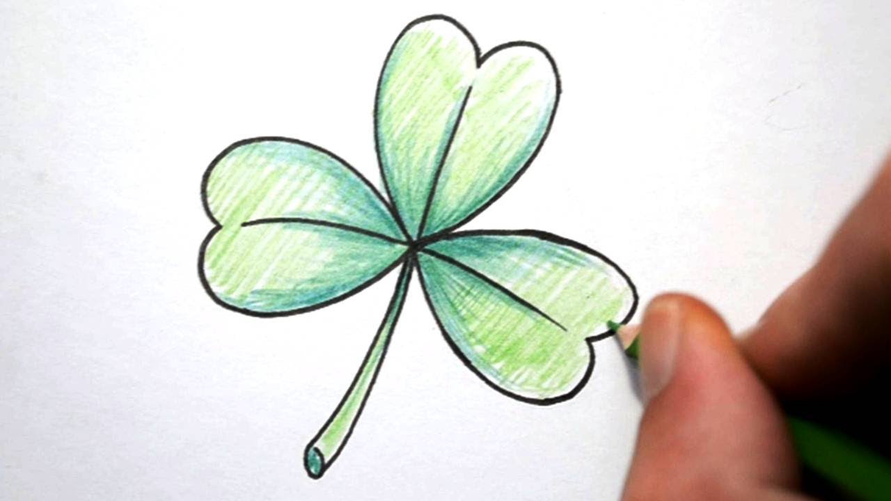 Clover Drawing Intricate Artwork