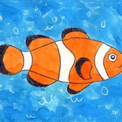 Clown Fish Drawing