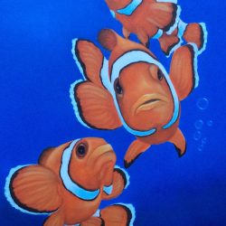 Clown Fish Drawing Artistic Sketching