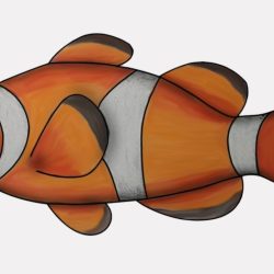 Clown Fish Drawing Modern Sketch