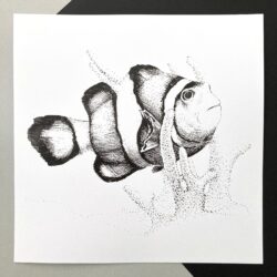 Clownfish Drawing