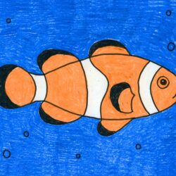 Clownfish Drawing Photo