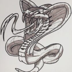 Cobra Drawing Hand Drawn Sketch