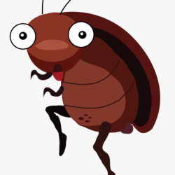 Cockroach Drawing Creative Style