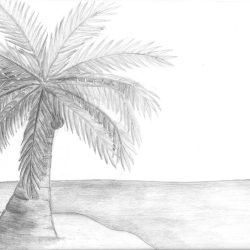 Coconut Tree Drawing Art