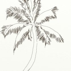 Coconut Tree Drawing Artistic Sketching