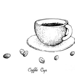 Coffee Drawing Realistic Sketch