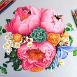 Color Drawing Art