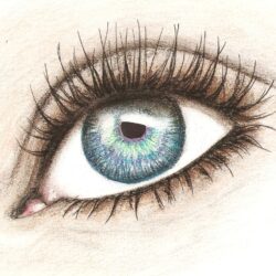 Color Eye Drawing Artistic Sketching