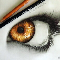 Color Eye Drawing Fine Art