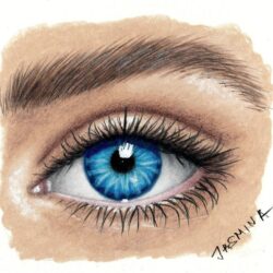 Color Eye Drawing Professional Artwork