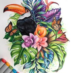 Colorful Flowers Drawing