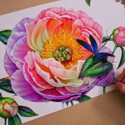 Colorful Flowers Drawing Image