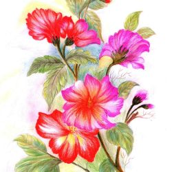 Colorful Flowers Drawing Modern Sketch