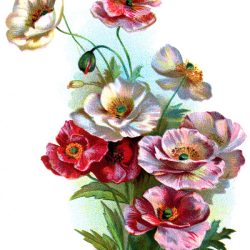 Colorful Flowers Drawing Realistic Sketch