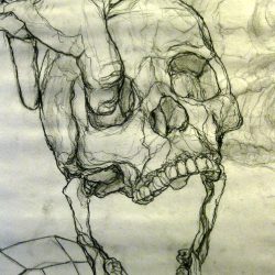 Contour Line Drawing Stunning Sketch