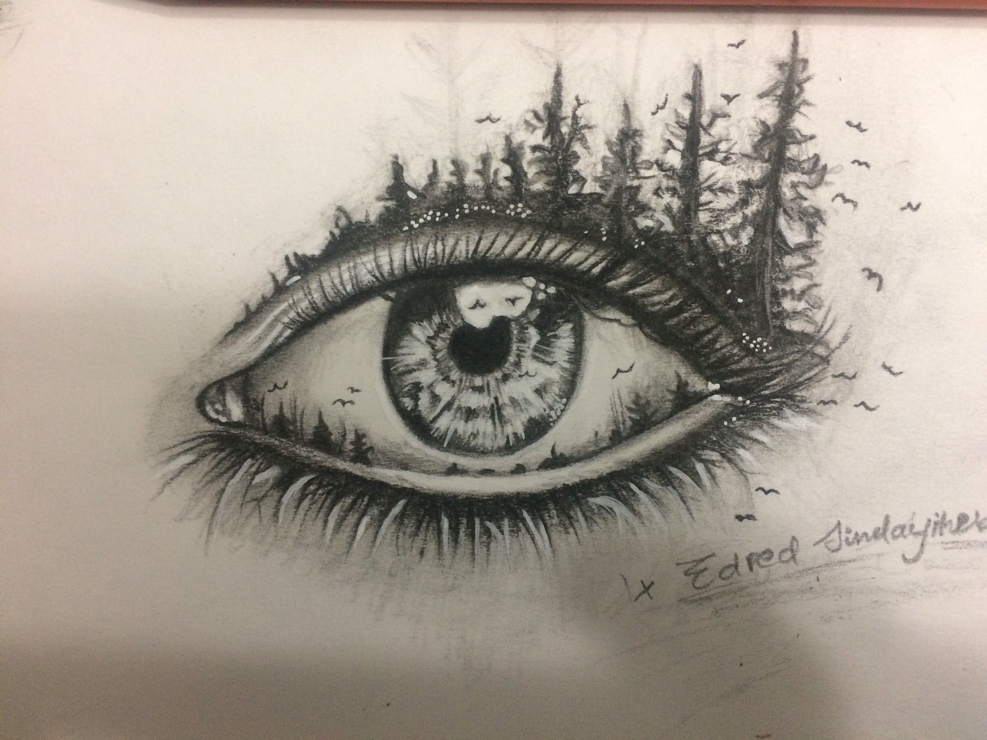 Cool Eyes Drawing Art
