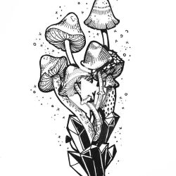 Cool Mushroom Drawing