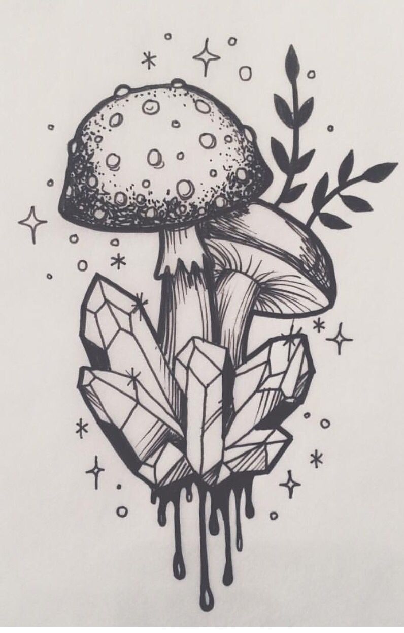 Cool Mushroom Drawing Amazing Sketch