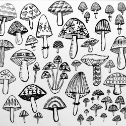 Cool Mushroom Drawing Artistic Sketching