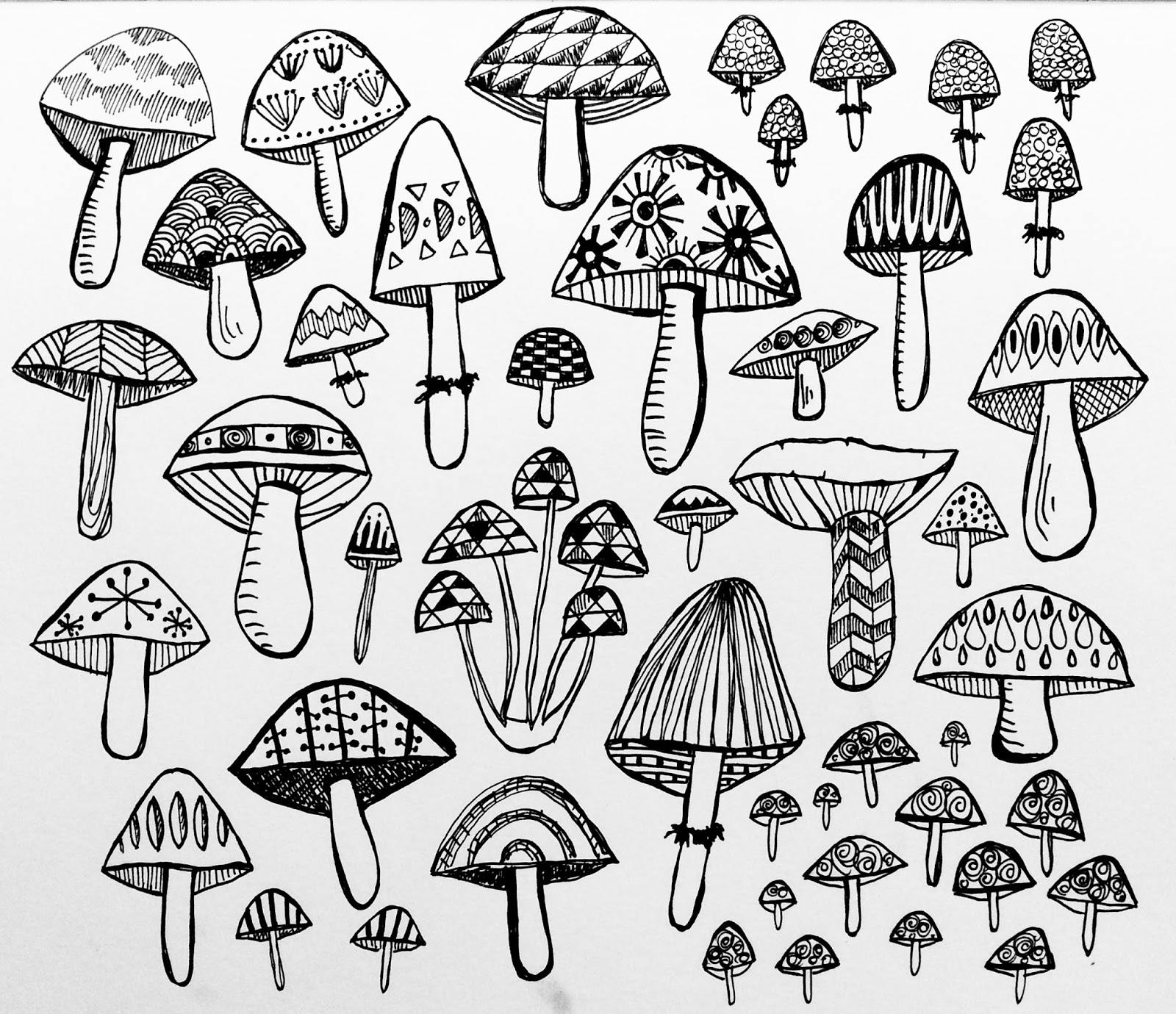 Cool Mushroom Drawing Artistic Sketching