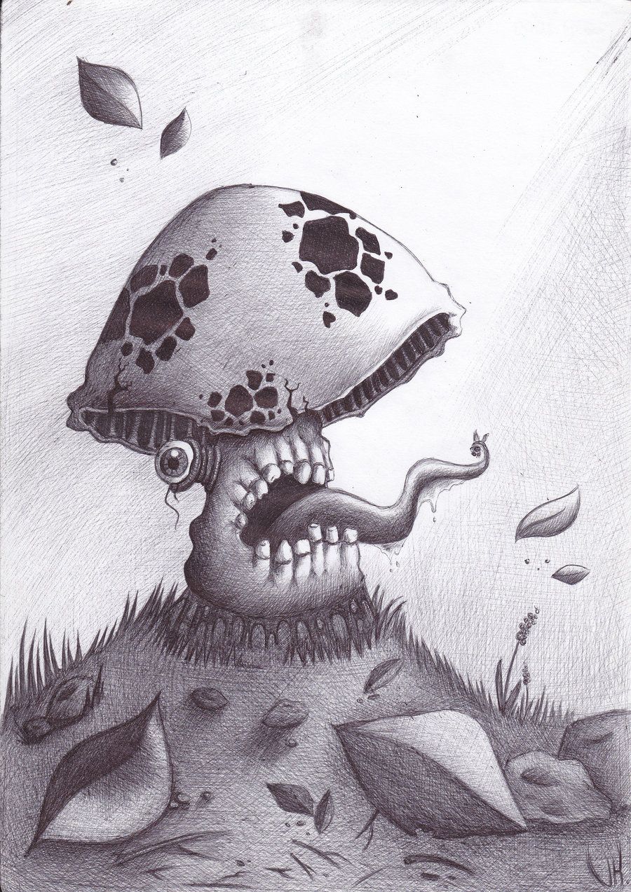 Cool Mushroom Drawing Hand drawn Sketch
