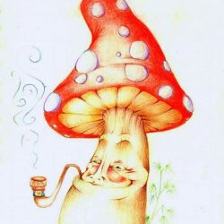 Cool Mushroom Drawing Image