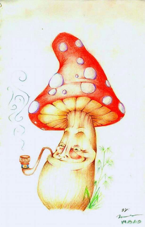 Cool Mushroom Drawing Image
