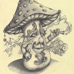 Cool Mushroom Drawing Modern Sketch